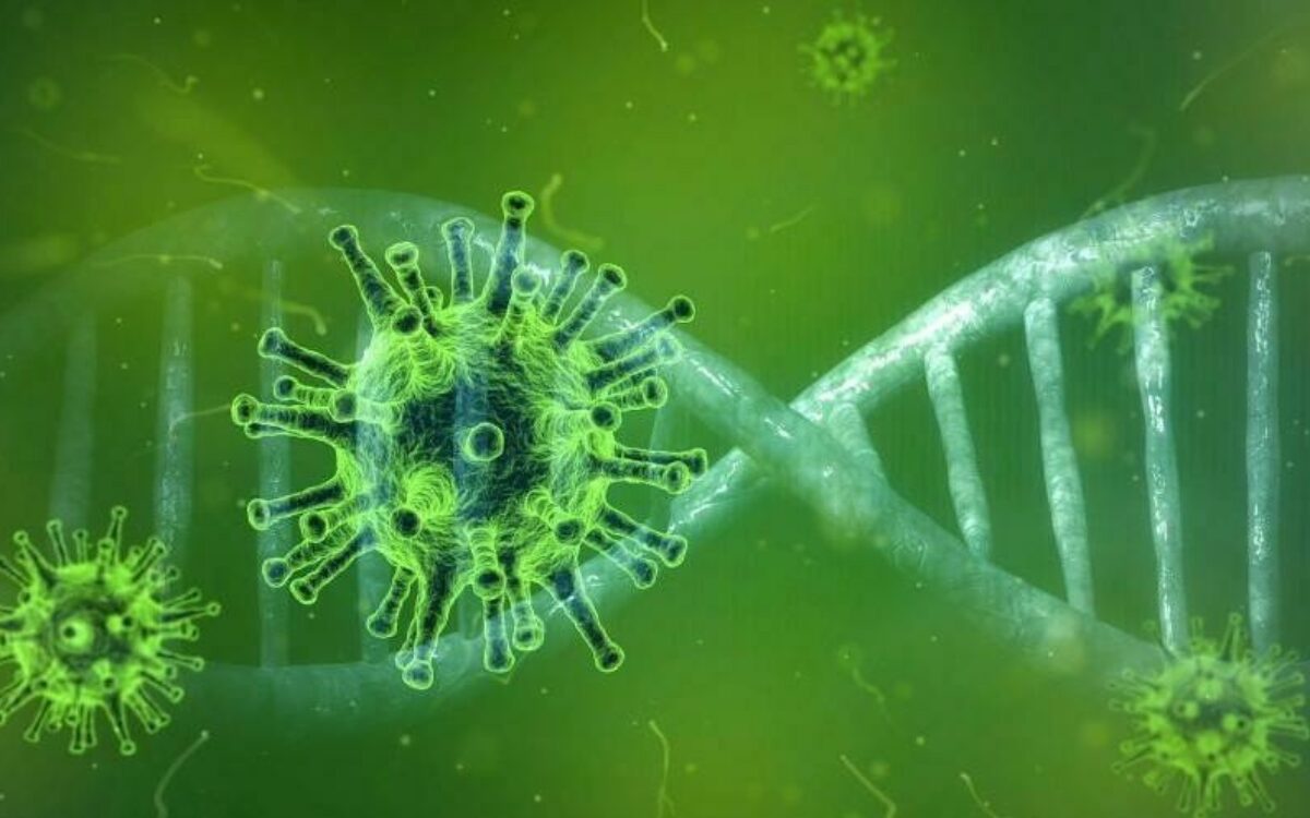 16122802071612106361corona virus bild grrn pixabay com 16122802071612106361corona virus bild grrn pixabay com